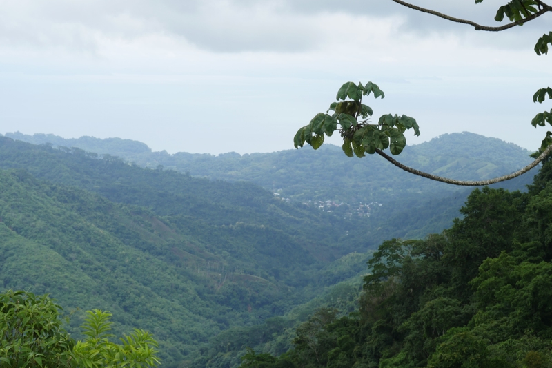 Best Costa Rica eSIMs 2026